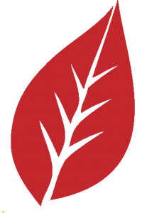 one leaf red